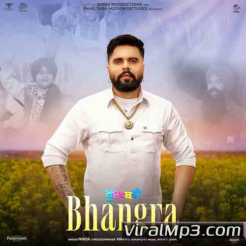 Bhangra Cover